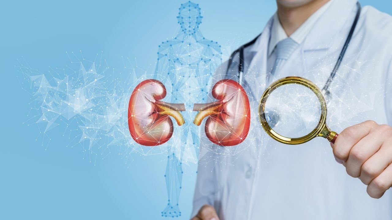 Doença Renal Crônica: Artigo do Medicina Atual explica do diagnóstico ao tratamento