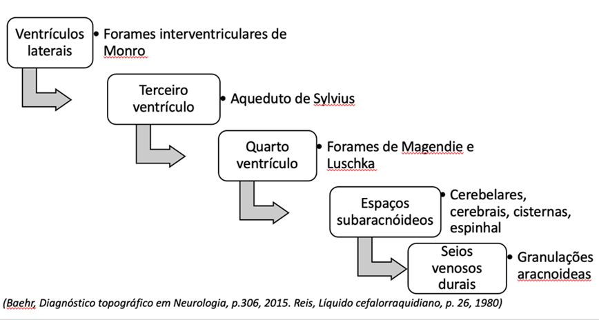 diagnóstico topográfico em neurologia