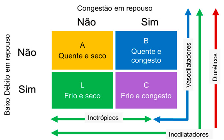 Avaliação do estado hemodinâmico
