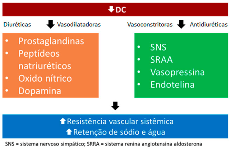 Fisiopatologia da IC
