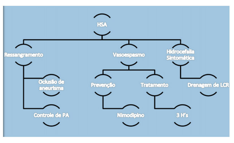 A prevenção de vasoespasmo é uma medica de extrema importância no acidente vascular encefálico