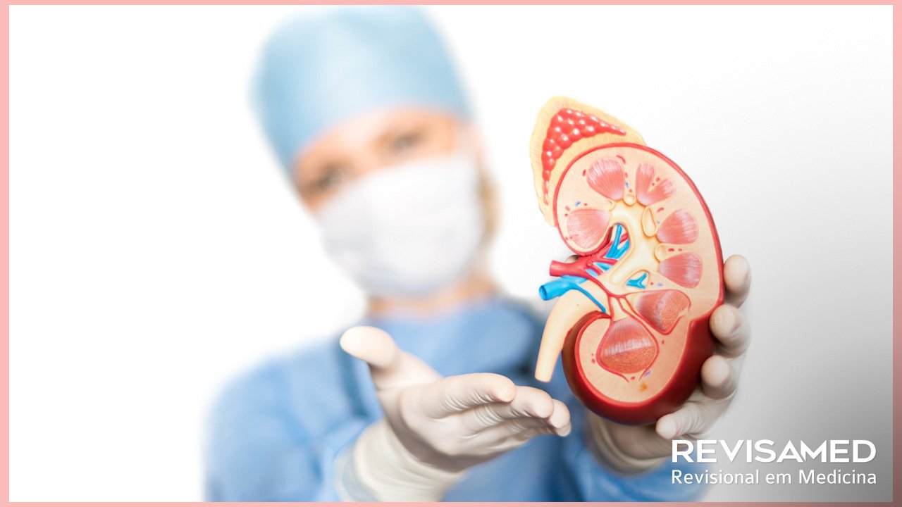 Nefrologia: tudo sobre a residência e a especialidade médica