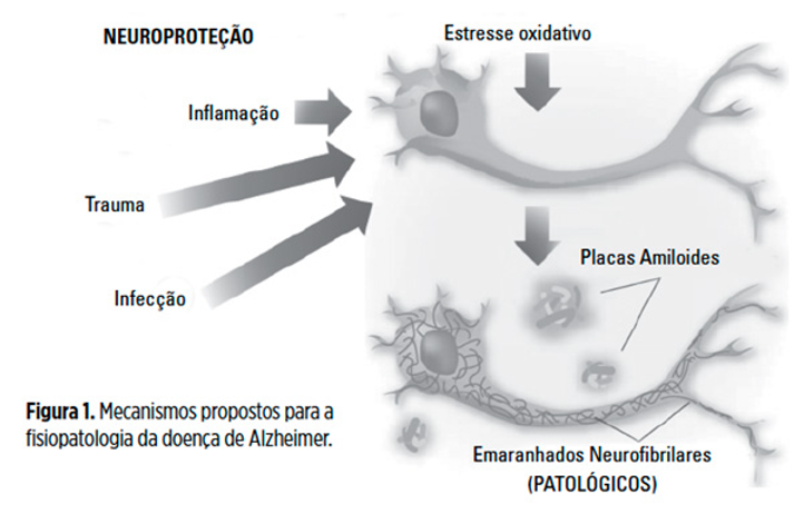 Causa da Doença de Alzheimer