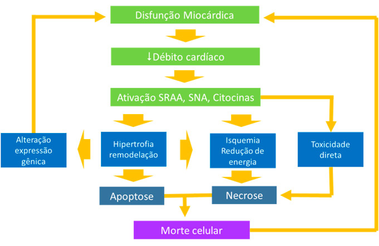 Disfunção miocárdica