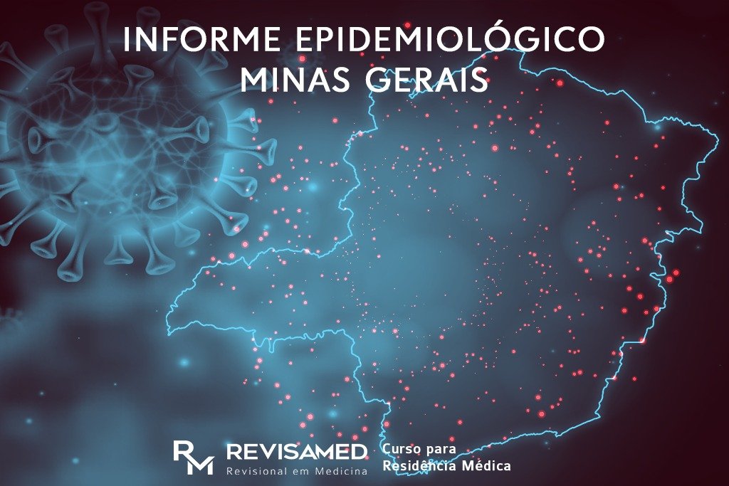 informe epidemiológico minas gerais