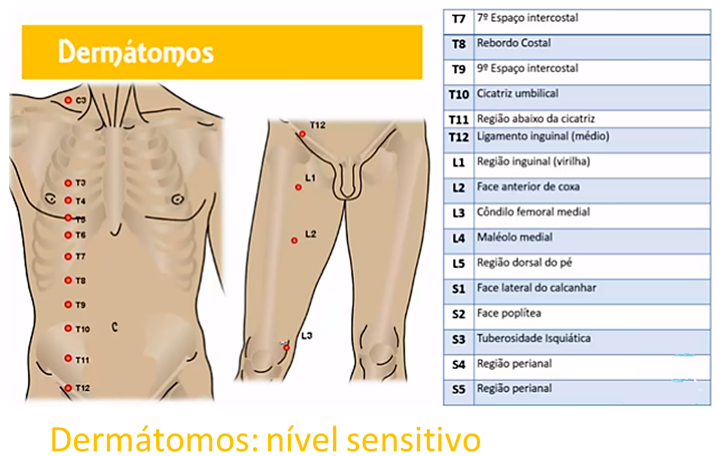 dermátomos: nivel sensitivo