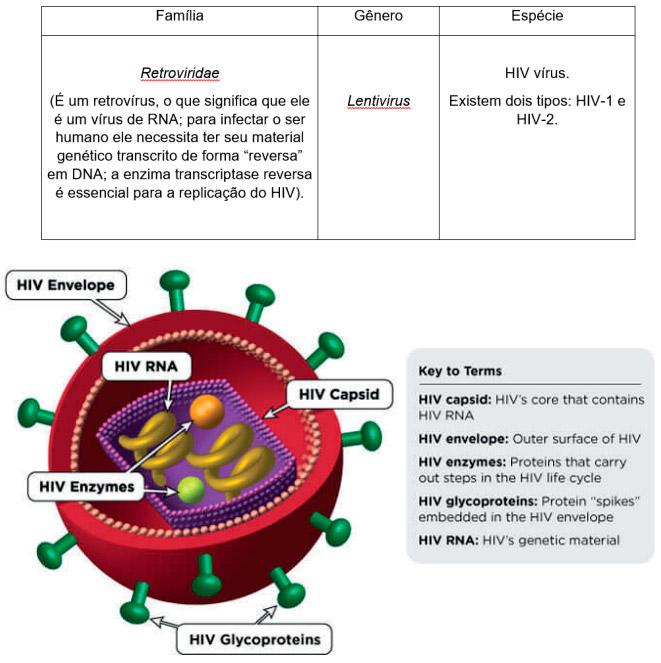 Classificação do vírus HIV quanto a família, gênero e espécie