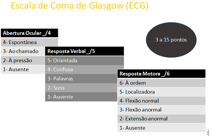 escala de coma de glasgow modificada