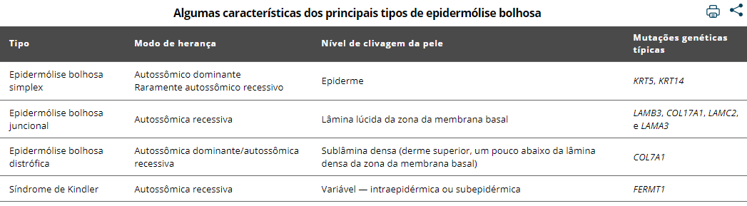 características principais de epidermólise bolhosa