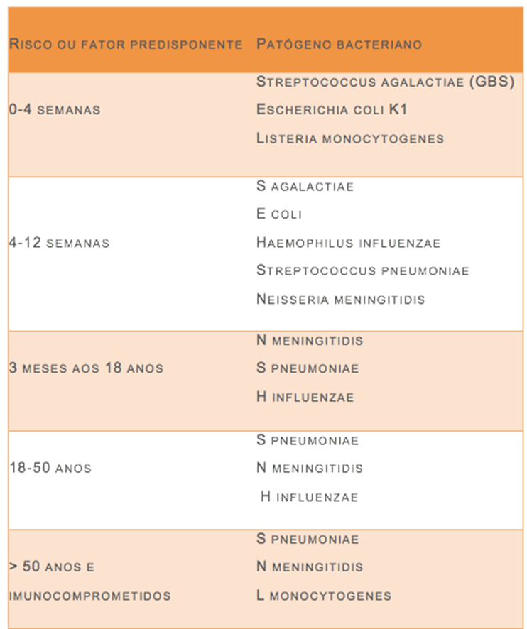  infecções por s. Pneumoniae e n. Meningitidis correspondem a 80% dos casos de meningite bacteriana aguda em adultos