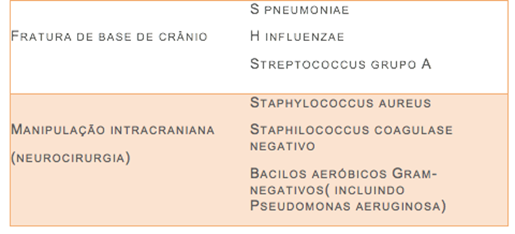  infecções por s. Pneumoniae e n. Meningitidis correspondem a 80% dos casos de meningite bacteriana aguda 
